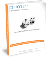 Information Security Primer for Small Business eBook